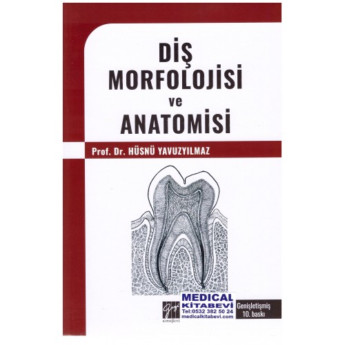 Diş Morfolojisi ve Anatomisi - Hüsnü Yavuz Yılmaz